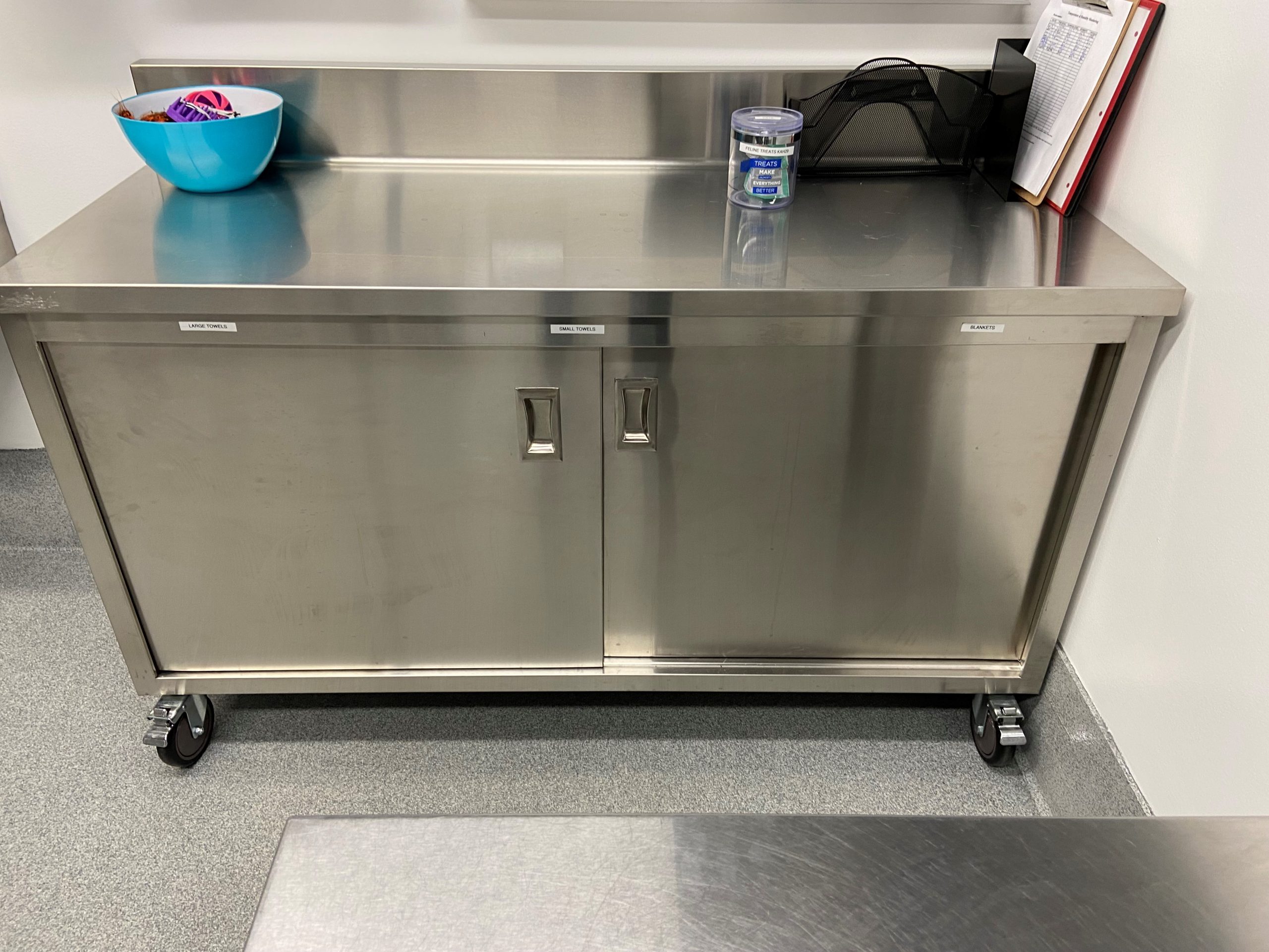 Stainless Steel cabinet on casters